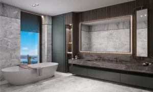 3-IN-IMG-NK 3-IN-IMG-NK